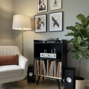 Rack para Vinilos Vintage - Diseño a Medida