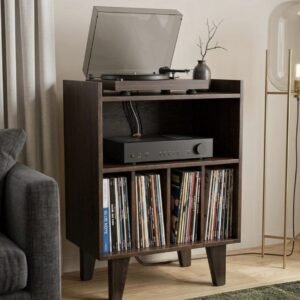 Rack Vinil 40 Color Café – Mueble para Tocadiscos y Discos