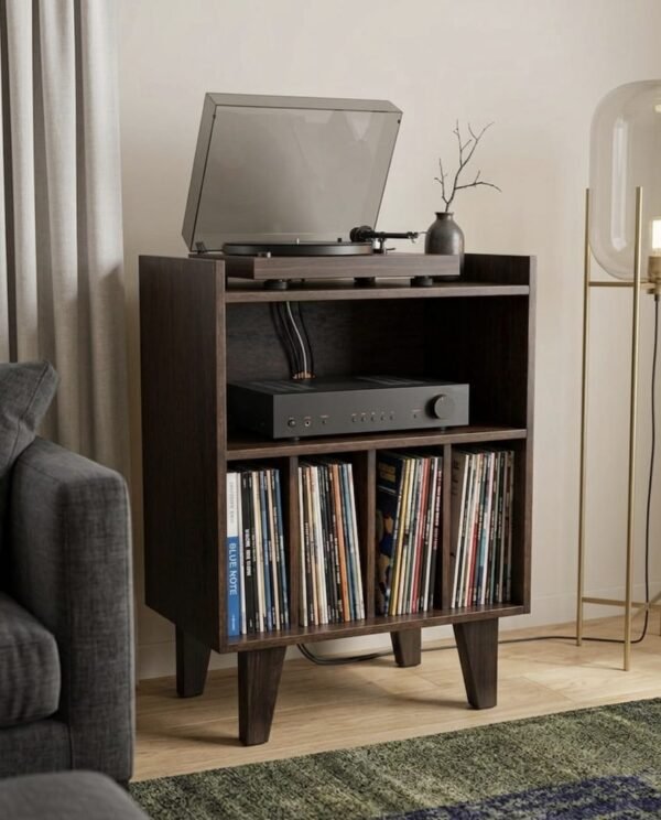 Rack Vinil 40 Color Café – Mueble para Tocadiscos y Discos
